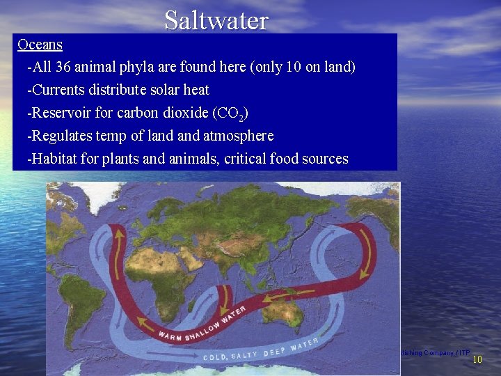 Saltwater Oceans -All 36 animal phyla are found here (only 10 on land) -Currents