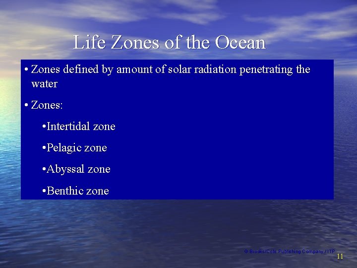 Life Zones of the Ocean • Zones defined by amount of solar radiation penetrating