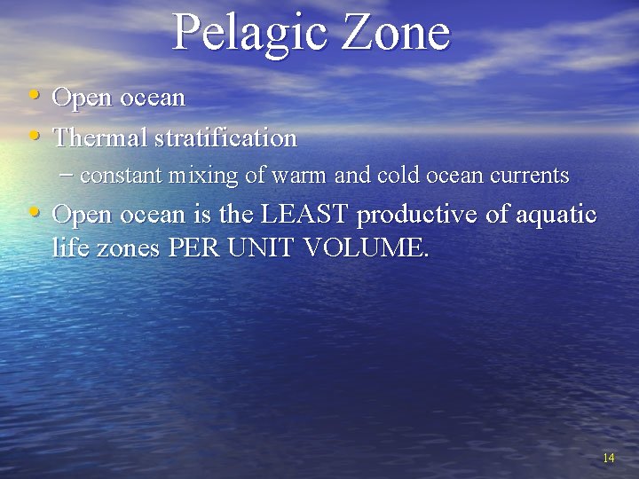 Pelagic Zone • Open ocean • Thermal stratification – constant mixing of warm and