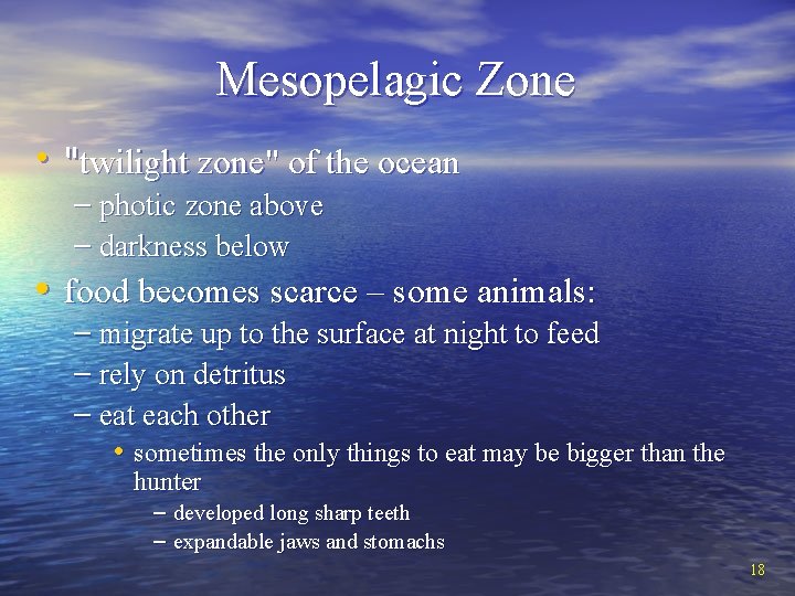 Mesopelagic Zone • "twilight zone" of the ocean – photic zone above – darkness