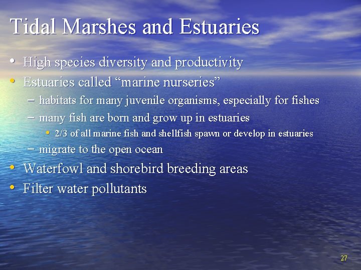 Tidal Marshes and Estuaries • High species diversity and productivity • Estuaries called “marine