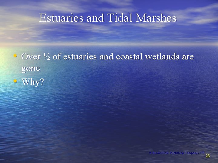 Estuaries and Tidal Marshes • Over ½ of estuaries and coastal wetlands are •