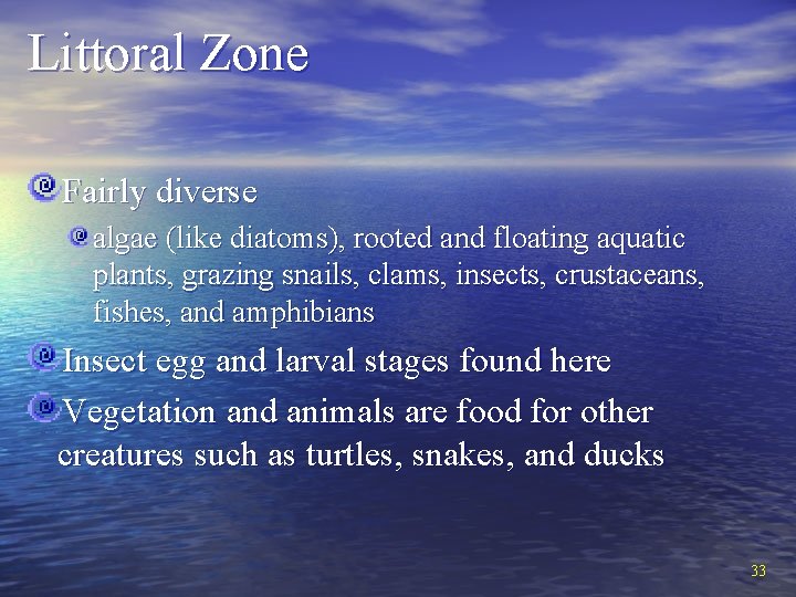 Littoral Zone Fairly diverse algae (like diatoms), rooted and floating aquatic plants, grazing snails,