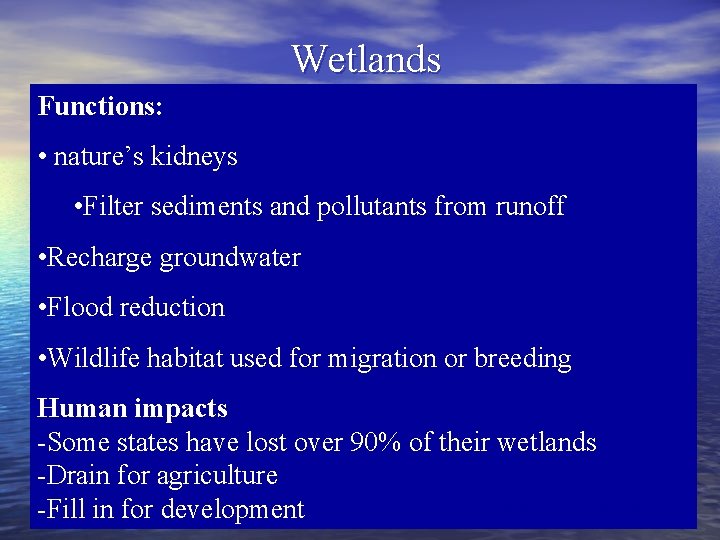 Wetlands Functions: • nature’s kidneys • Filter sediments and pollutants from runoff • Recharge