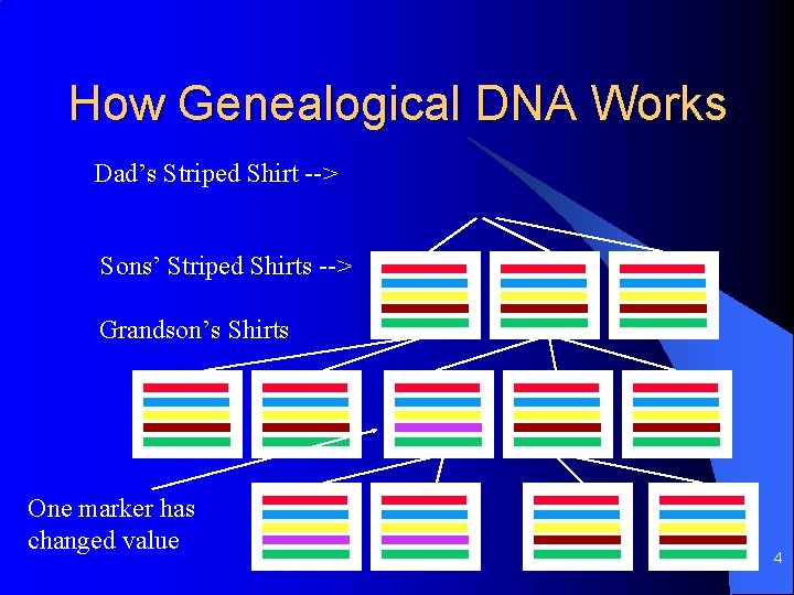 How Genealogical DNA Works Dad’s Striped Shirt --> Sons’ Striped Shirts --> Grandson’s Shirts