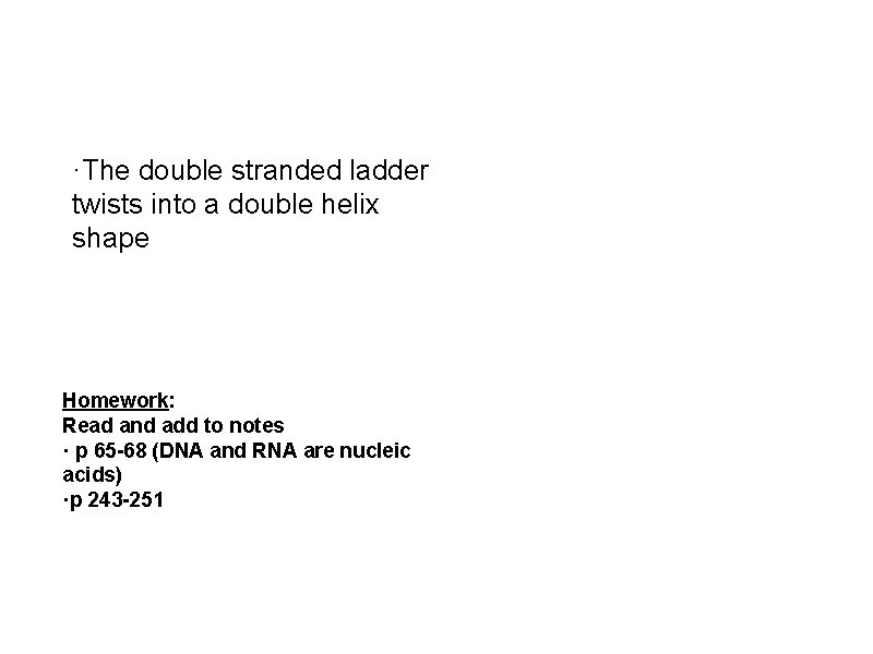·The double stranded ladder twists into a double helix shape Homework: Read and add