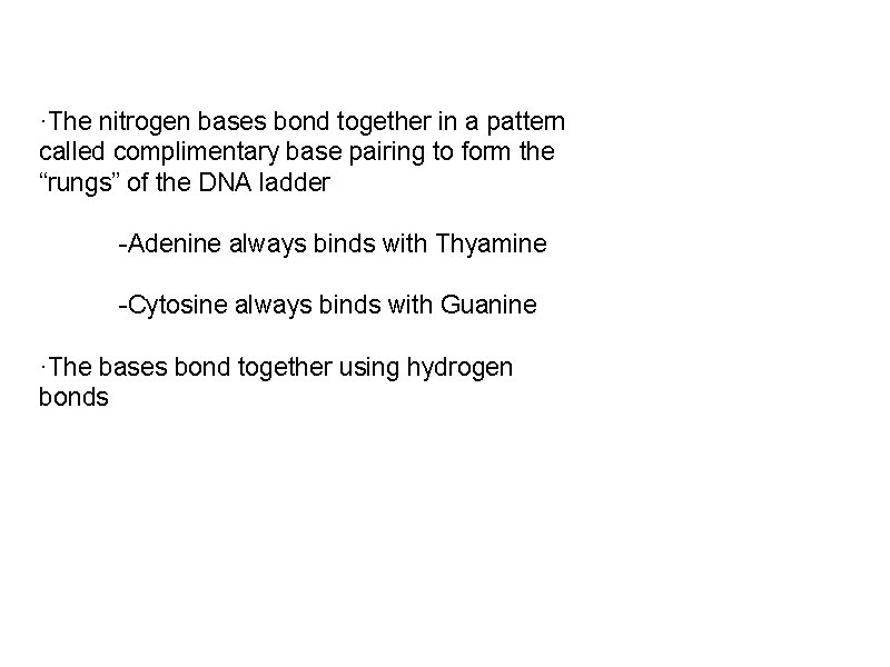 ·The nitrogen bases bond together in a pattern called complimentary base pairing to form