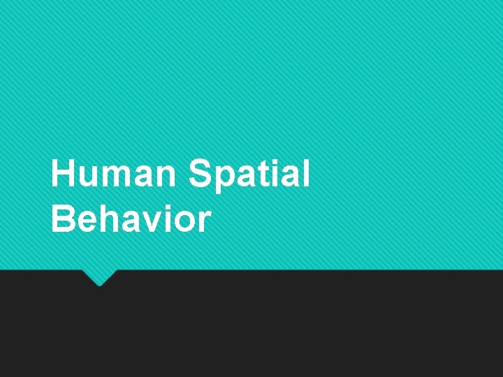 Human Spatial Behavior 