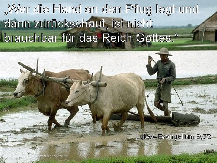 „Wer die Hand an den Pflug legt und dann zurückschaut, ist nicht brauchbar für