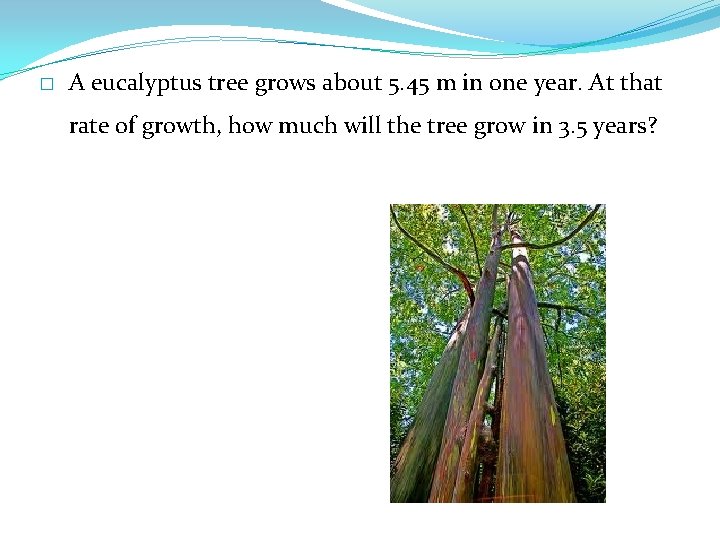 � A eucalyptus tree grows about 5. 45 m in one year. At that