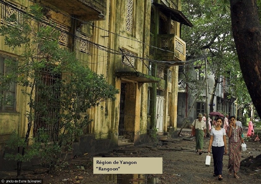 Région de Yangon ‘’Rangoon’’ 