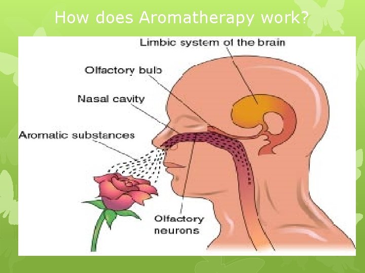 How does Aromatherapy work? 