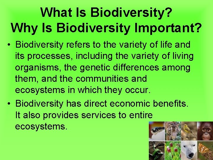 What Is Biodiversity? Why Is Biodiversity Important? • Biodiversity refers to the variety of