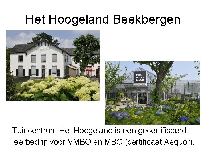 Het Hoogeland Beekbergen Tuincentrum Het Hoogeland is een gecertificeerd leerbedrijf voor VMBO en MBO