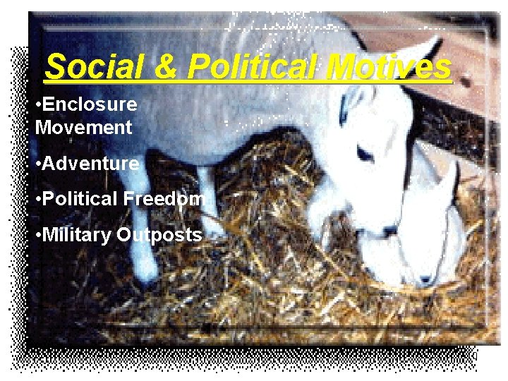 Social & Political Motives • Enclosure Movement • Adventure • Political Freedom • Military