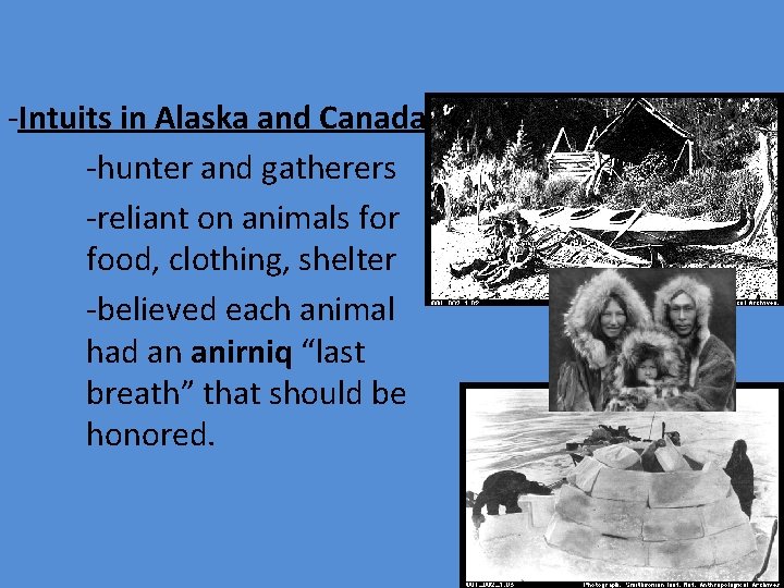 -Intuits in Alaska and Canada -hunter and gatherers -reliant on animals for food, clothing,