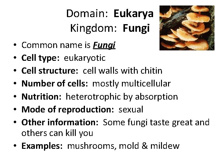 Domain: Eukarya Kingdom: Fungi Common name is Fungi Cell type: eukaryotic Cell structure: cell