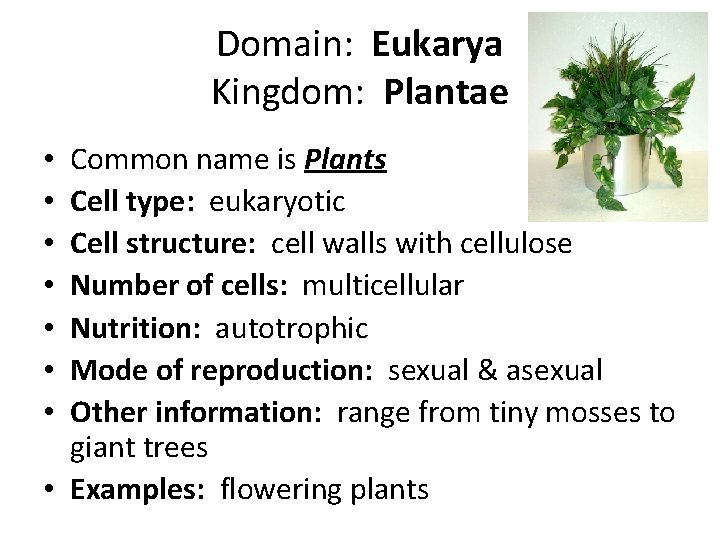 Domain: Eukarya Kingdom: Plantae Common name is Plants Cell type: eukaryotic Cell structure: cell