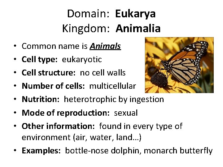 Domain: Eukarya Kingdom: Animalia Common name is Animals Cell type: eukaryotic Cell structure: no