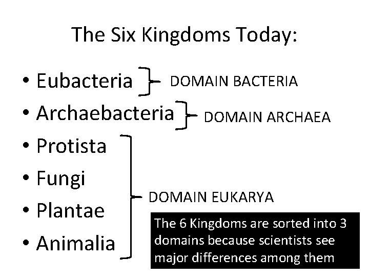 The Six Kingdoms Today: DOMAIN BACTERIA • Eubacteria • Archaebacteria DOMAIN ARCHAEA • Protista