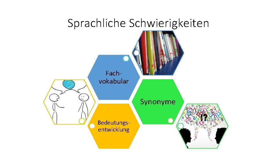 Sprachliche Schwierigkeiten Fachvokabular Synonyme Bedeutungsentwicklung 