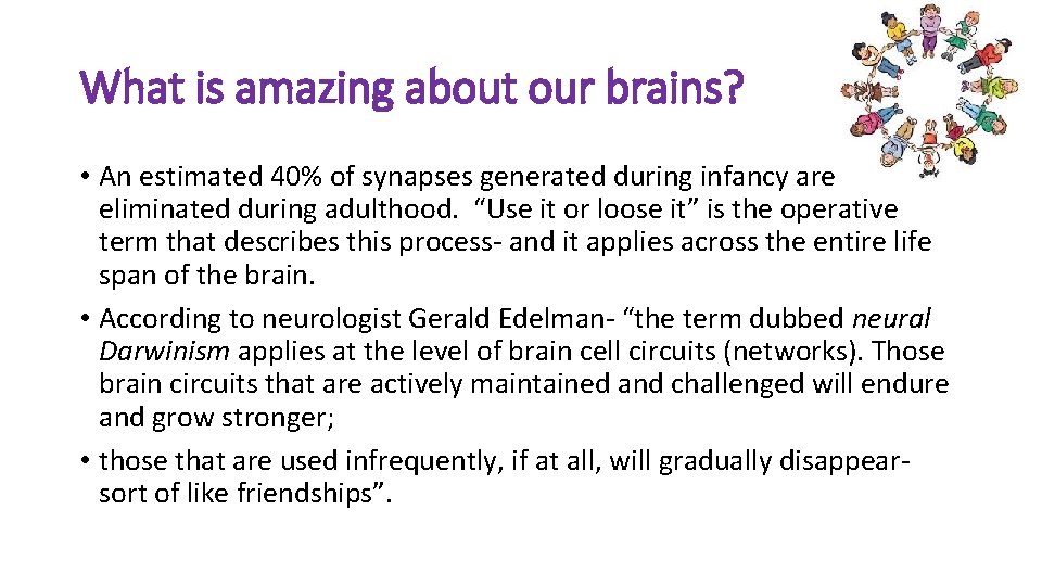 What is amazing about our brains? • An estimated 40% of synapses generated during