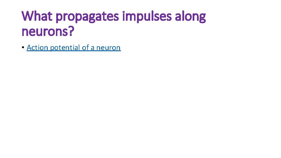 What propagates impulses along neurons? • Action potential of a neuron 
