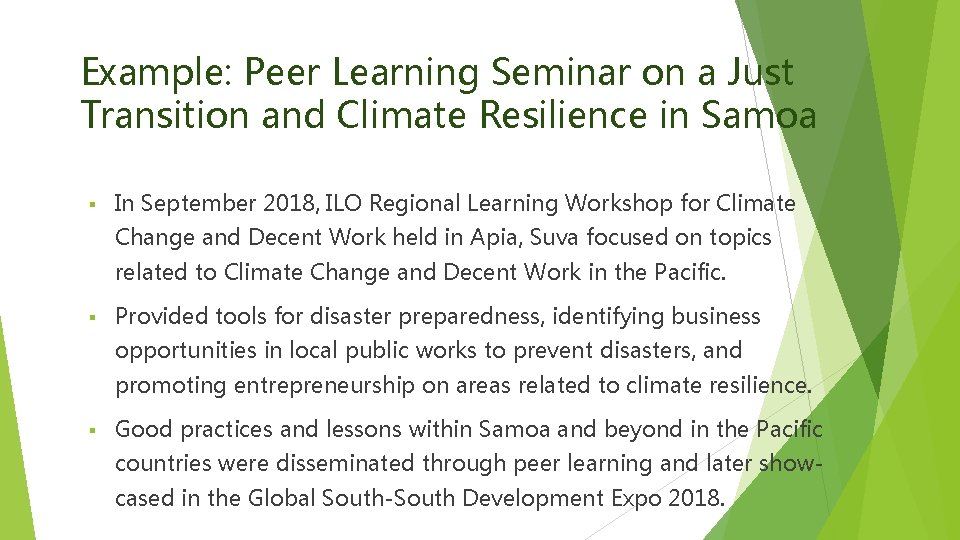 Example: Peer Learning Seminar on a Just Transition and Climate Resilience in Samoa §