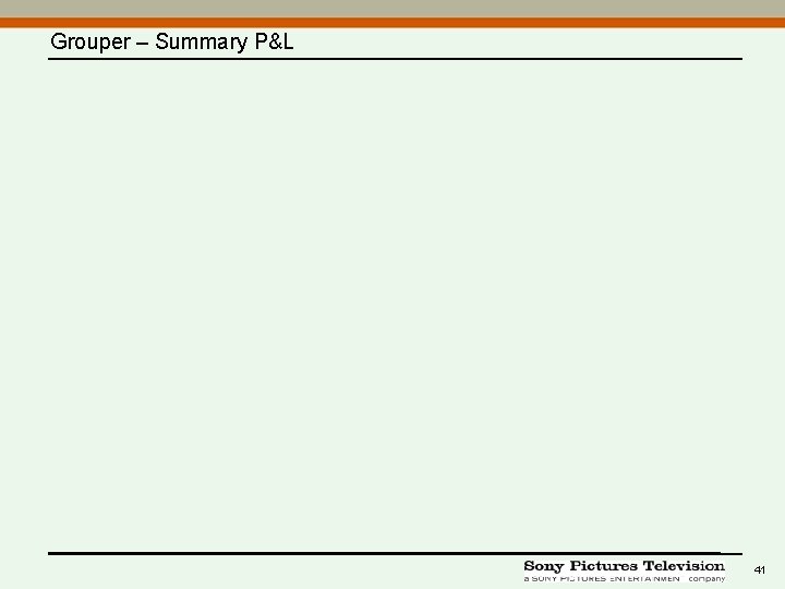Grouper – Summary P&L 41 