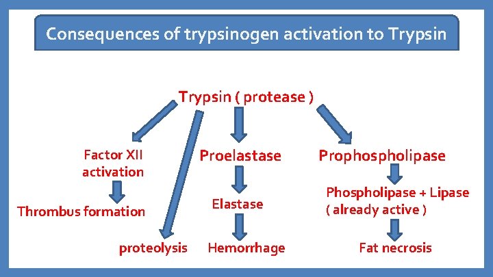Consequences of trypsinogen activation to Trypsin ( protease ) Factor XII activation Thrombus formation