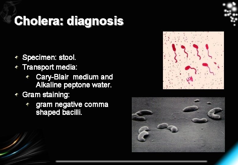 Cholera: diagnosis Specimen: stool. Transport media: Cary-Blair medium and Alkaline peptone water. Gram staining:
