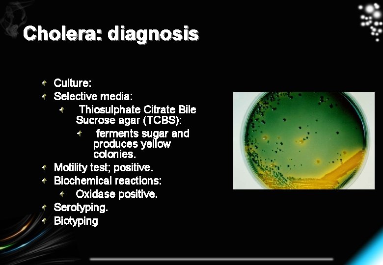 Cholera: diagnosis Culture: Selective media: Thiosulphate Citrate Bile Sucrose agar (TCBS): ferments sugar and