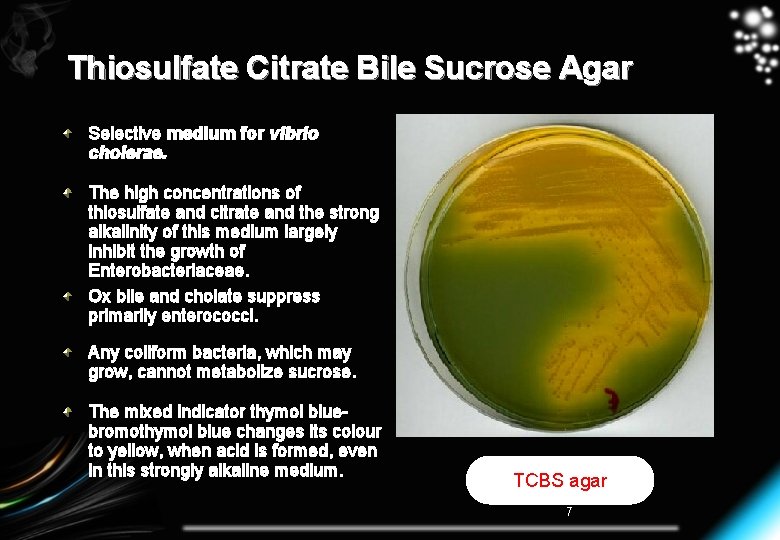 Thiosulfate Citrate Bile Sucrose Agar Selective medium for vibrio cholerae. The high concentrations of