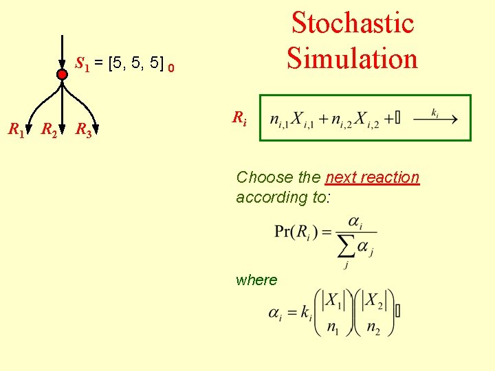 Stochastic Simulation S 1 = [5, 5, 5] 0 R 1 R 2 R