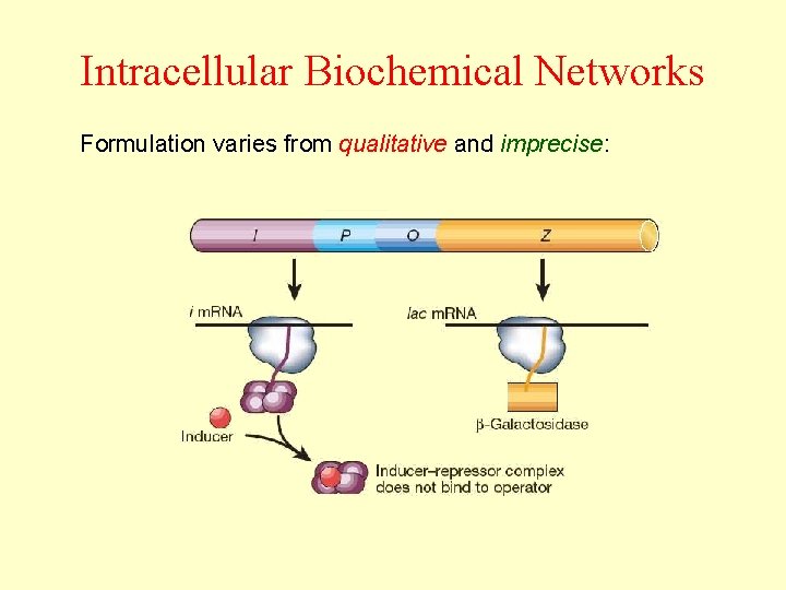 Intracellular Biochemical Networks Formulation varies from qualitative and imprecise: 