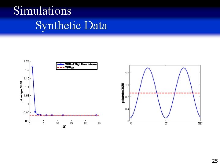 Simulations Synthetic Data 25 