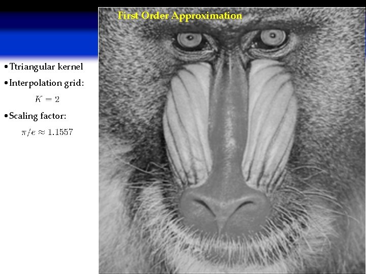 First Order Approximation • Ttriangular kernel • Interpolation grid: • Scaling factor: 26 