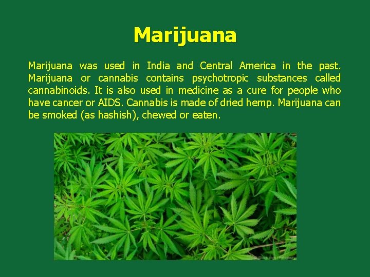 Marijuana was used in India and Central America in the past. Marijuana or cannabis