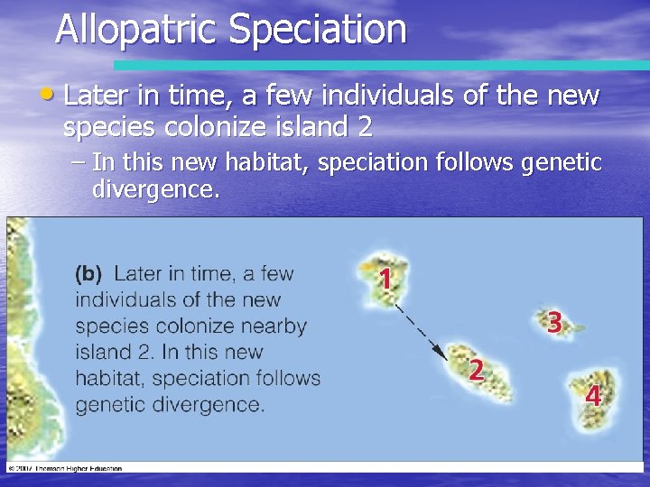 Allopatric Speciation • Later in time, a few individuals of the new species colonize