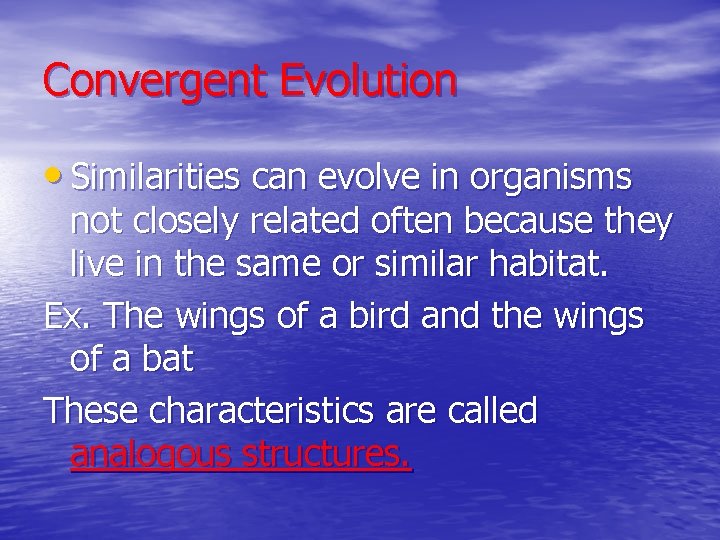 Convergent Evolution • Similarities can evolve in organisms not closely related often because they