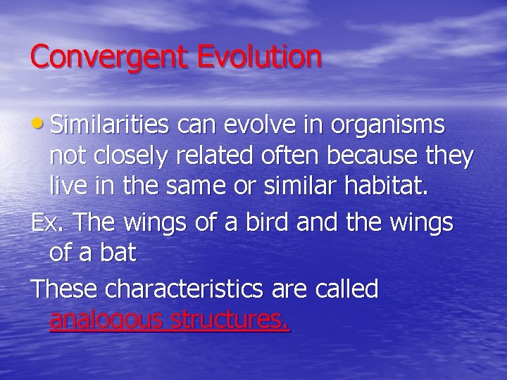 Convergent Evolution • Similarities can evolve in organisms not closely related often because they