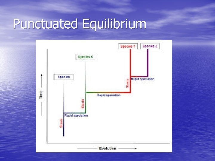 Punctuated Equilibrium 