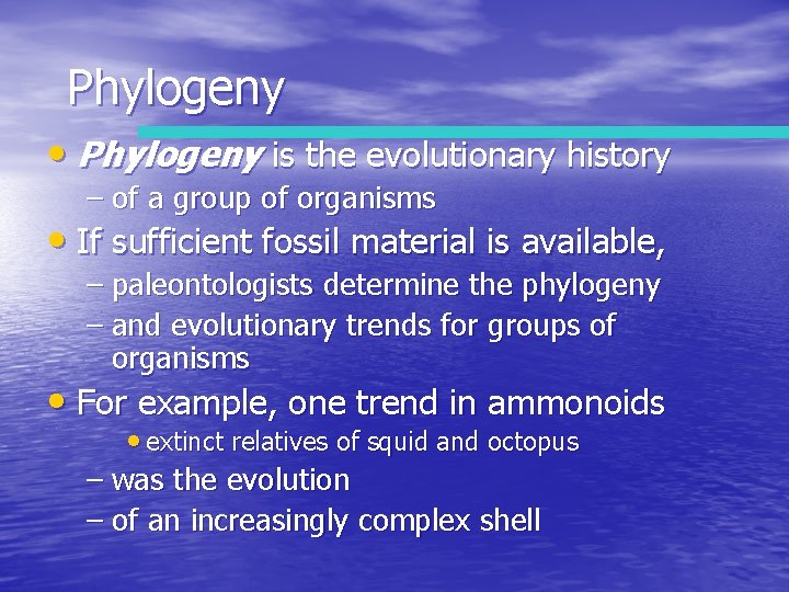 Phylogeny • Phylogeny is the evolutionary history – of a group of organisms •