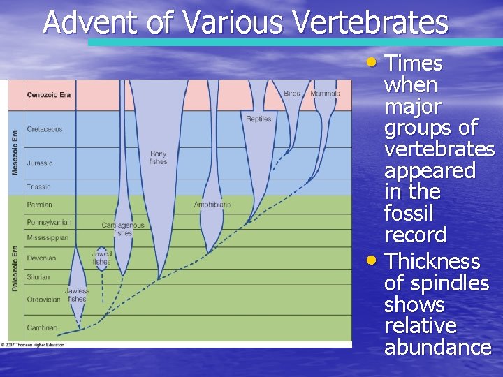 Advent of Various Vertebrates • Times when major groups of vertebrates appeared in the