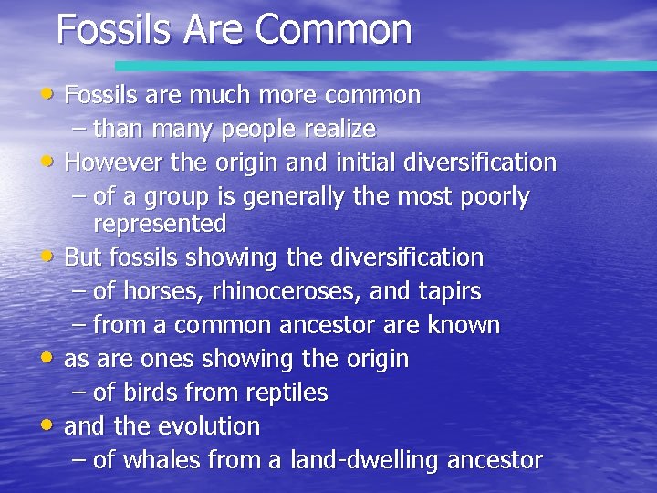 Fossils Are Common • Fossils are much more common • • – than many