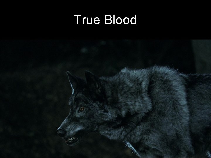 True Blood 