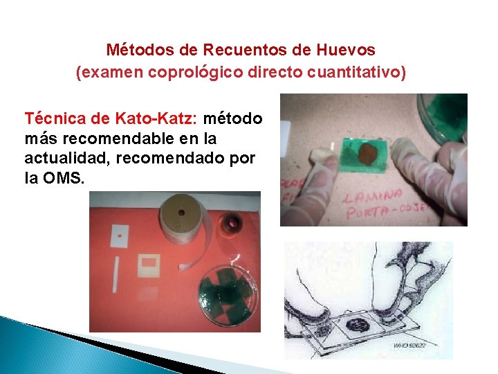 Métodos de Recuentos de Huevos (examen coprológico directo cuantitativo) Técnica de Kato-Katz: método más