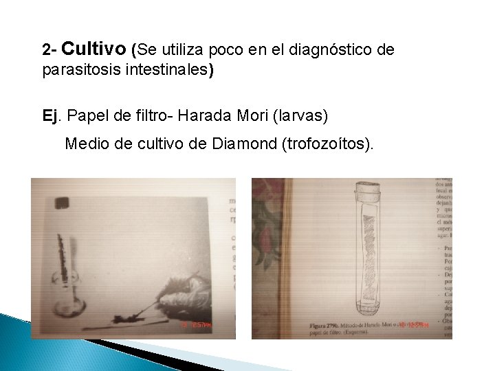 2 - Cultivo (Se utiliza poco en el diagnóstico de parasitosis intestinales) Ej. Papel