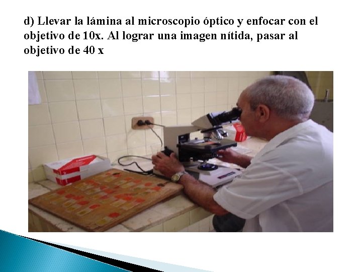 d) Llevar la lámina al microscopio óptico y enfocar con el objetivo de 10