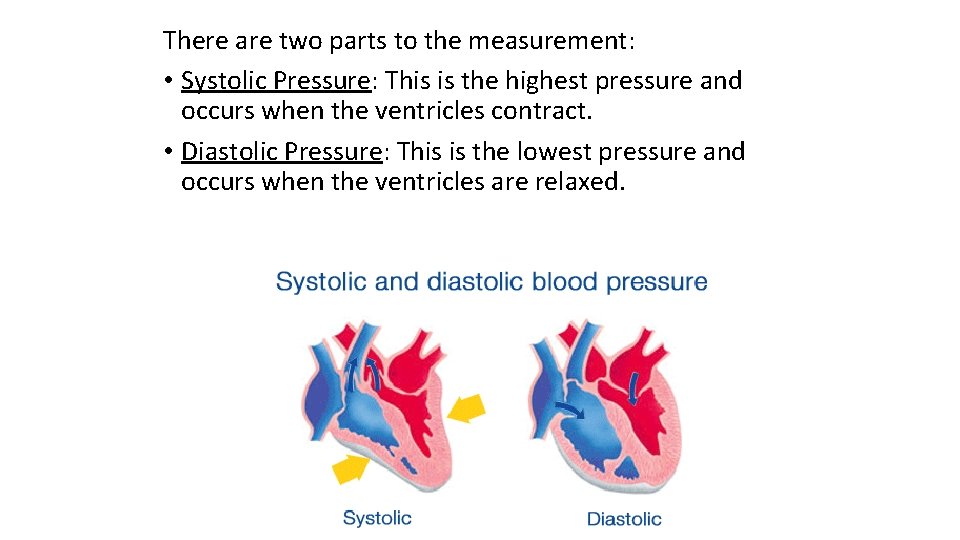 There are two parts to the measurement: • Systolic Pressure: This is the highest